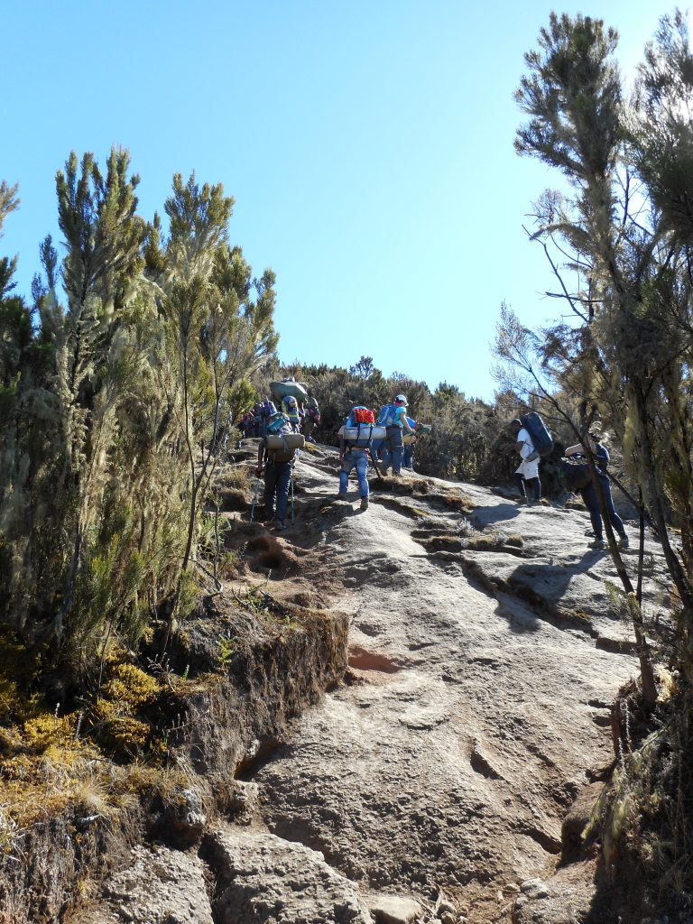 The trail up