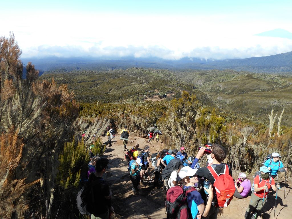 The Machame Camp
