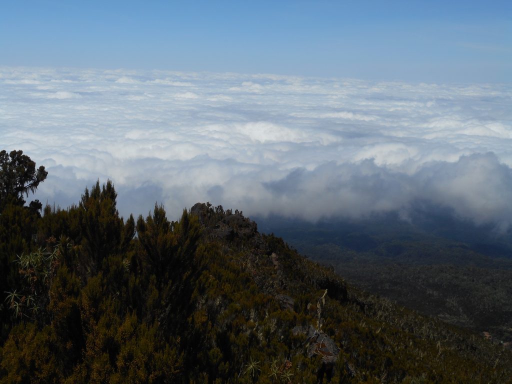 Above the Clouds