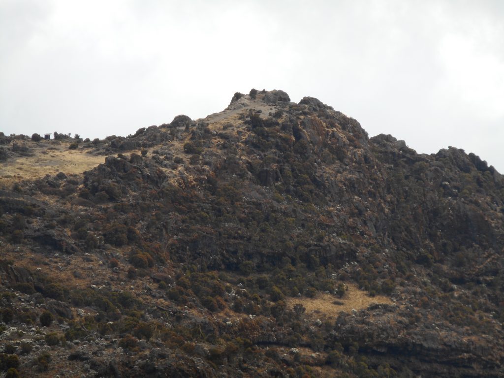 The path up