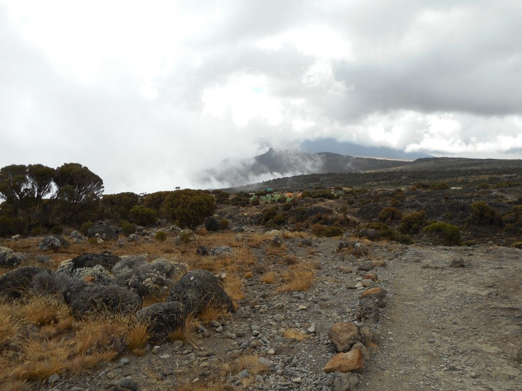 Nearing the Camp