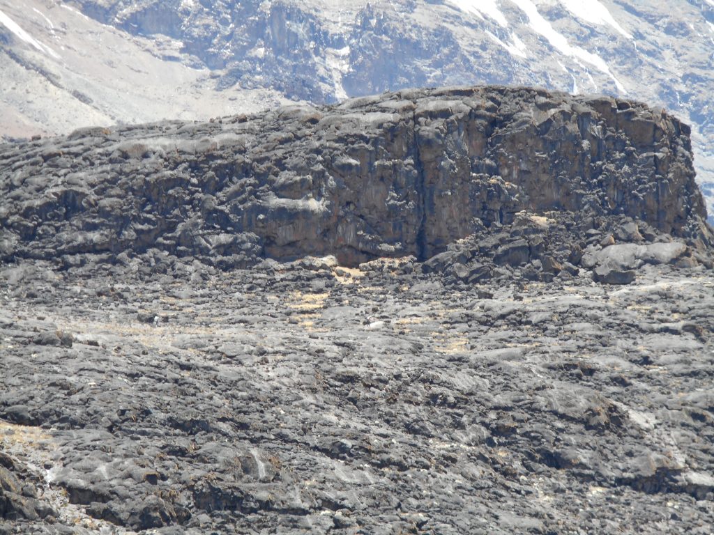 closeup of ridge
