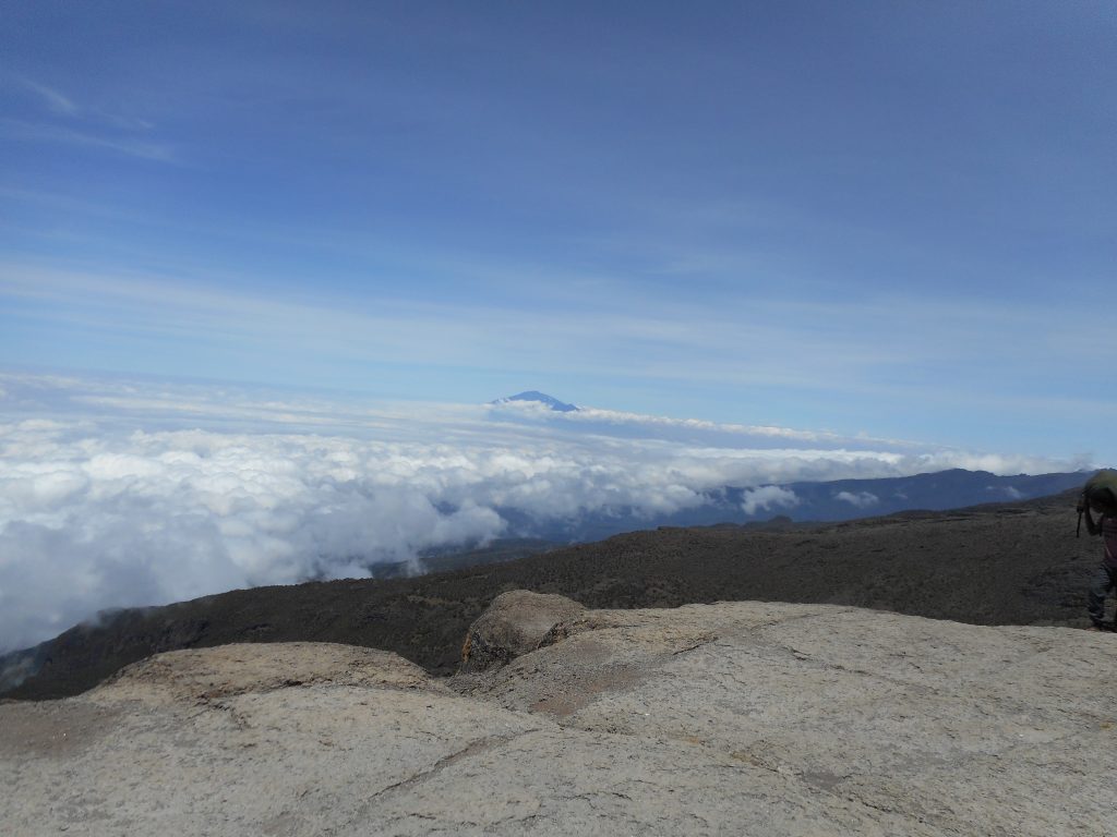 The Top